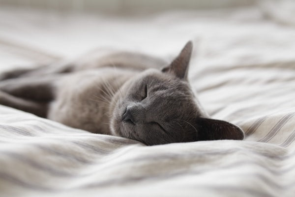 Tackling Depression - Sleep On It