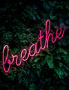 Six Techniques for Improved Breathing
